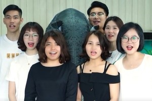 十二星座如何吃粽子