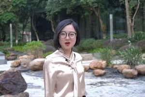 2020你该抱紧谁的大腿？