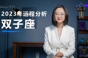 2023年运程分析（双子座）