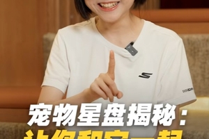 宠物也能盘明白，如何选择能够助力自己运势的宠物？