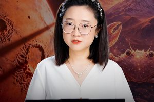 8月11号金海对冲：别被滤镜和泡沫带跑